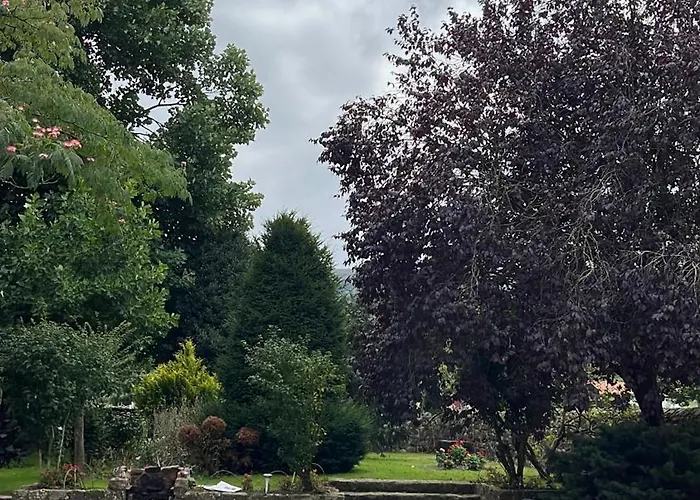 La Calleja De Porche Ucieda